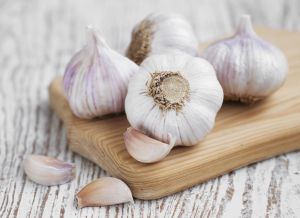 Garlic on a old white wooden background