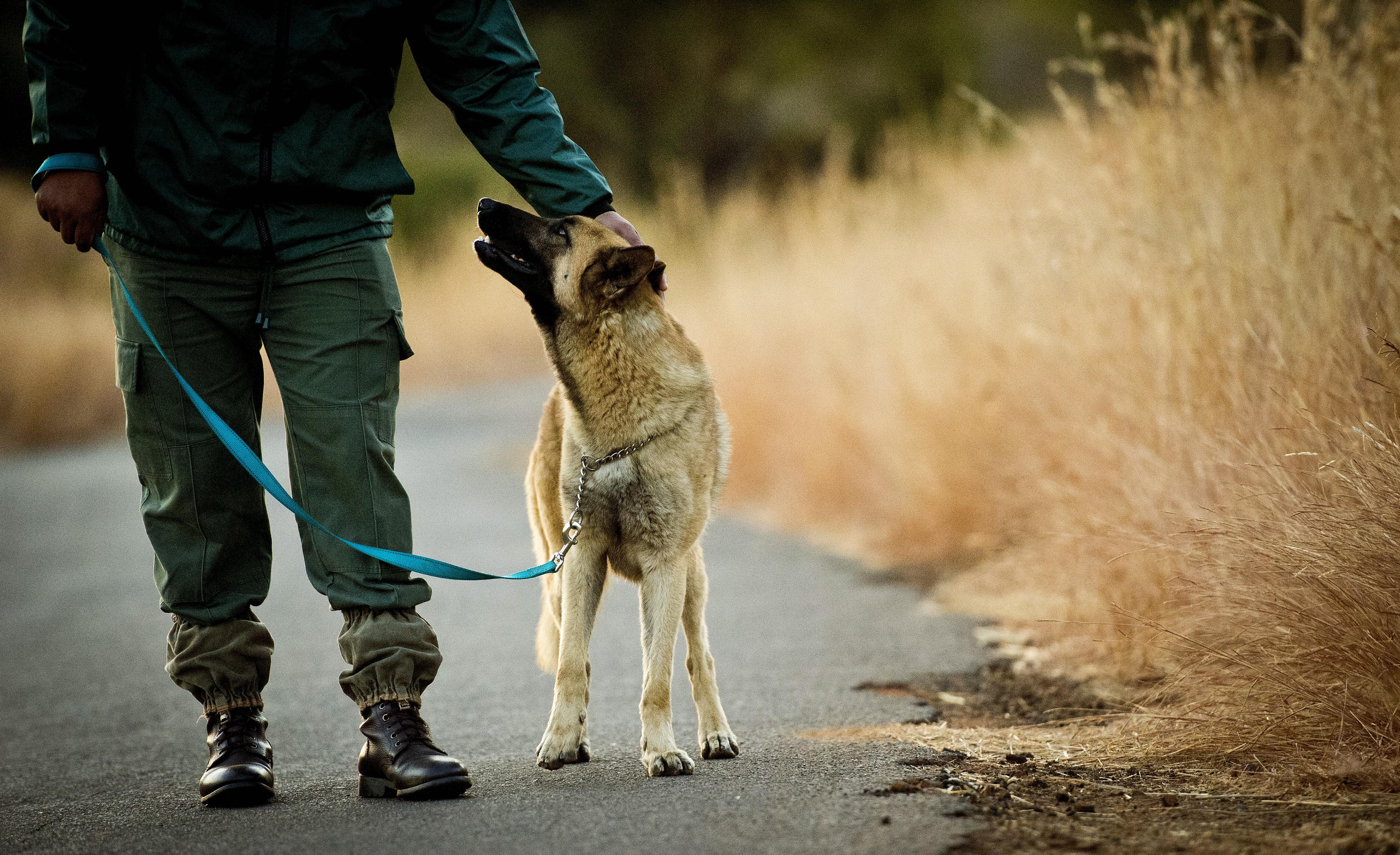 Dogs Trained To Stop Rhino Poaching - M24