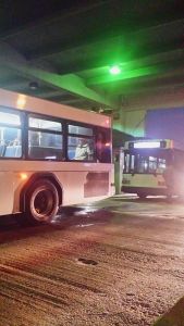 Buses At Station