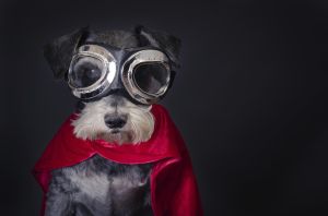 Super Dog