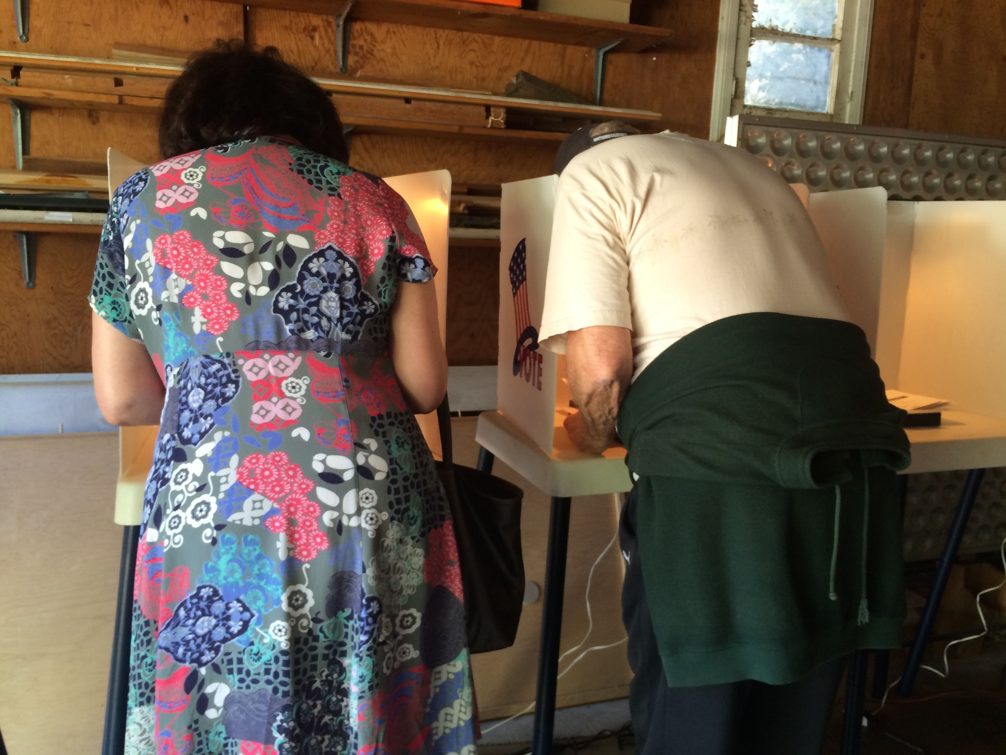 U.S. Election Voting