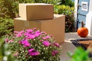 Parcel (box) delivery at the front door outside.