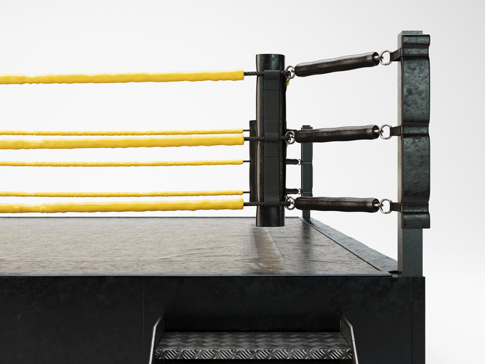 Modern Regulation Wrestling Ring